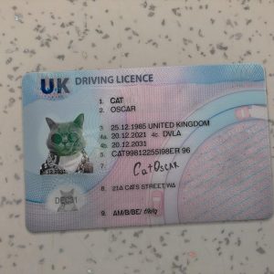 Ireland-Driver-License-Template-