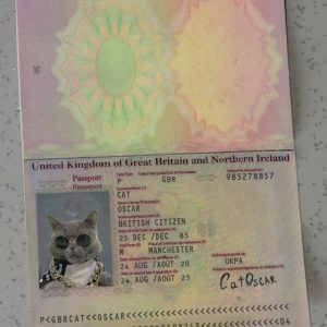 Ireland-Passport-Template