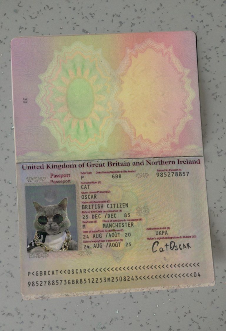 Ireland-Passport-Template