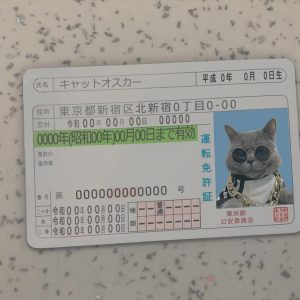Japan-Driver-License-Template-