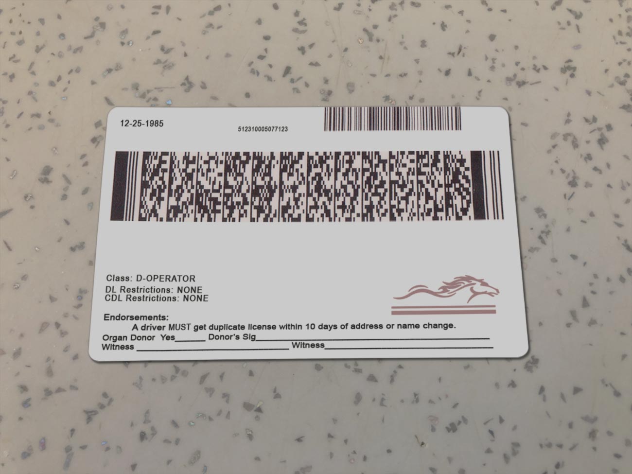 Kentucky-Driver-License-Template-