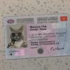 Kyrgyzstan-Driver-License-Template