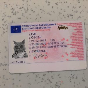 Lithuania-Driver-License-Template