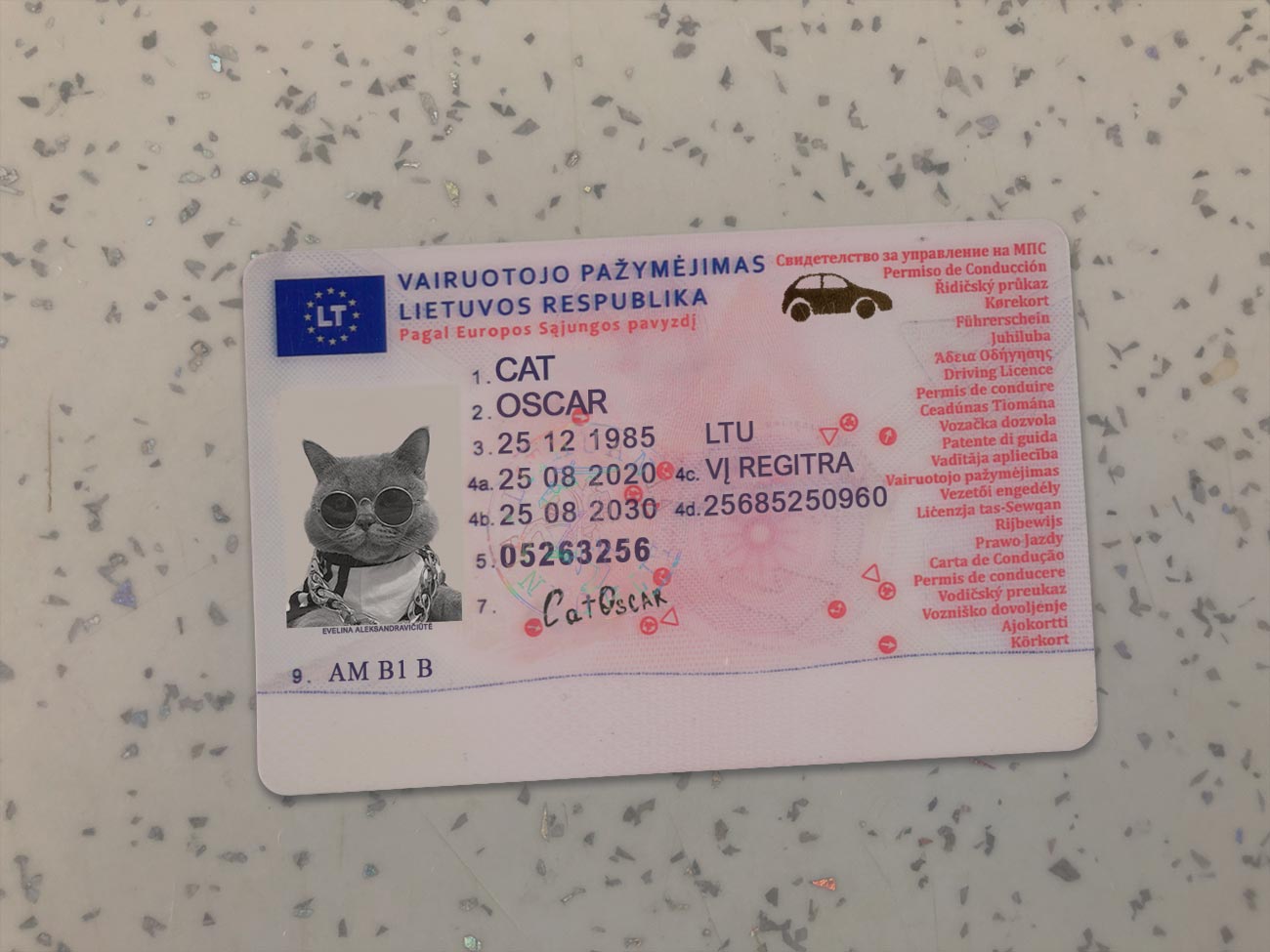 Lithuania-Driver-License-Template