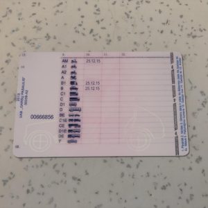 Lithuania-Driver-License-Template