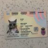 Luxembourg Identity Card