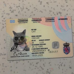Luxembourg Identity Card