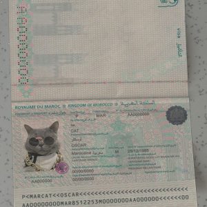 Marocco-Passport-Template