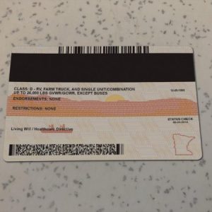 Minnesota-Driver-License-Template