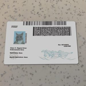 Montana-Driver-License-Template