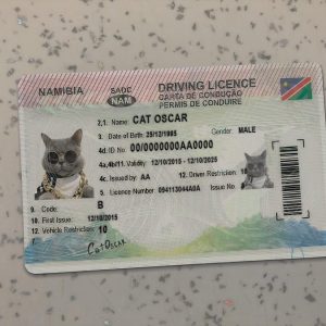 Namibia-Driver-License-Template