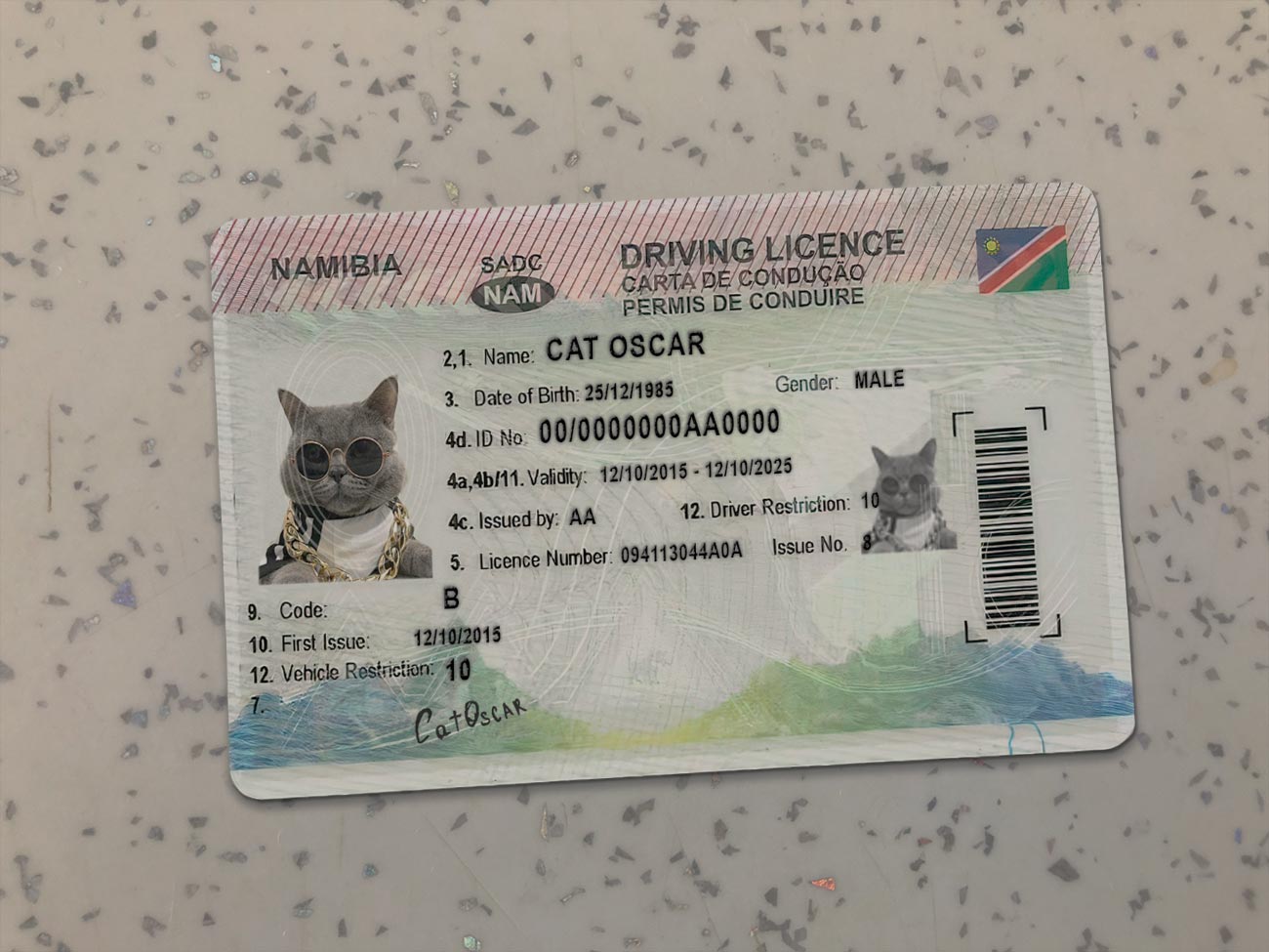 Namibia-Driver-License-Template