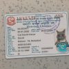 Nepal-Driver-License-Template