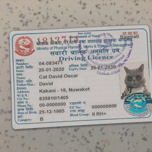 Nepal-Driver-License-Template
