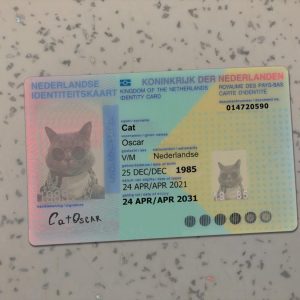 Netherland Identity Card