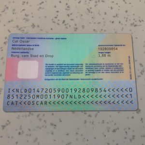 Netherland Identity Card