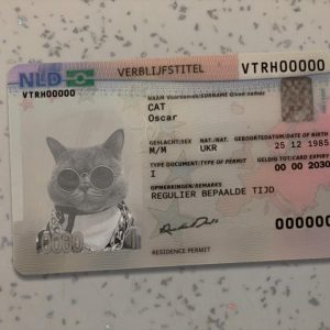 Netherlands Residence Permit Template