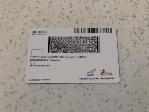 Nevada-Driver-License-Template-