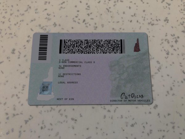 New-Hampshire-Driver-License-Template-2-