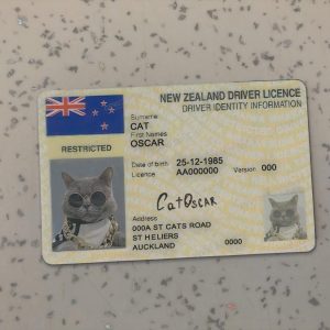 New-Zealand-Driver-License-Template-