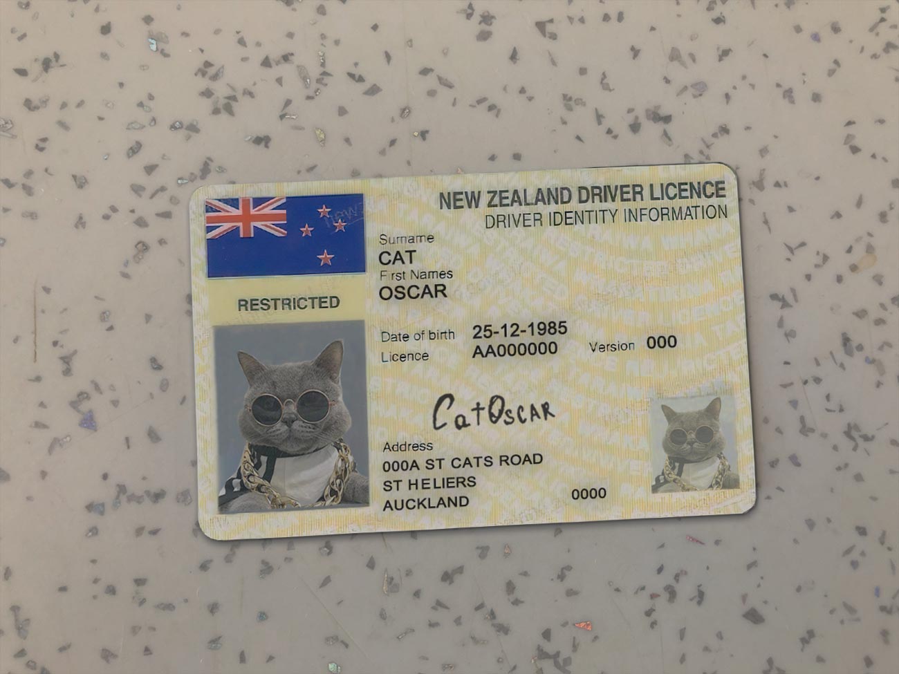 New-Zealand-Driver-License-Template-