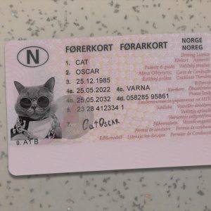 Norway-Driver-License-Template