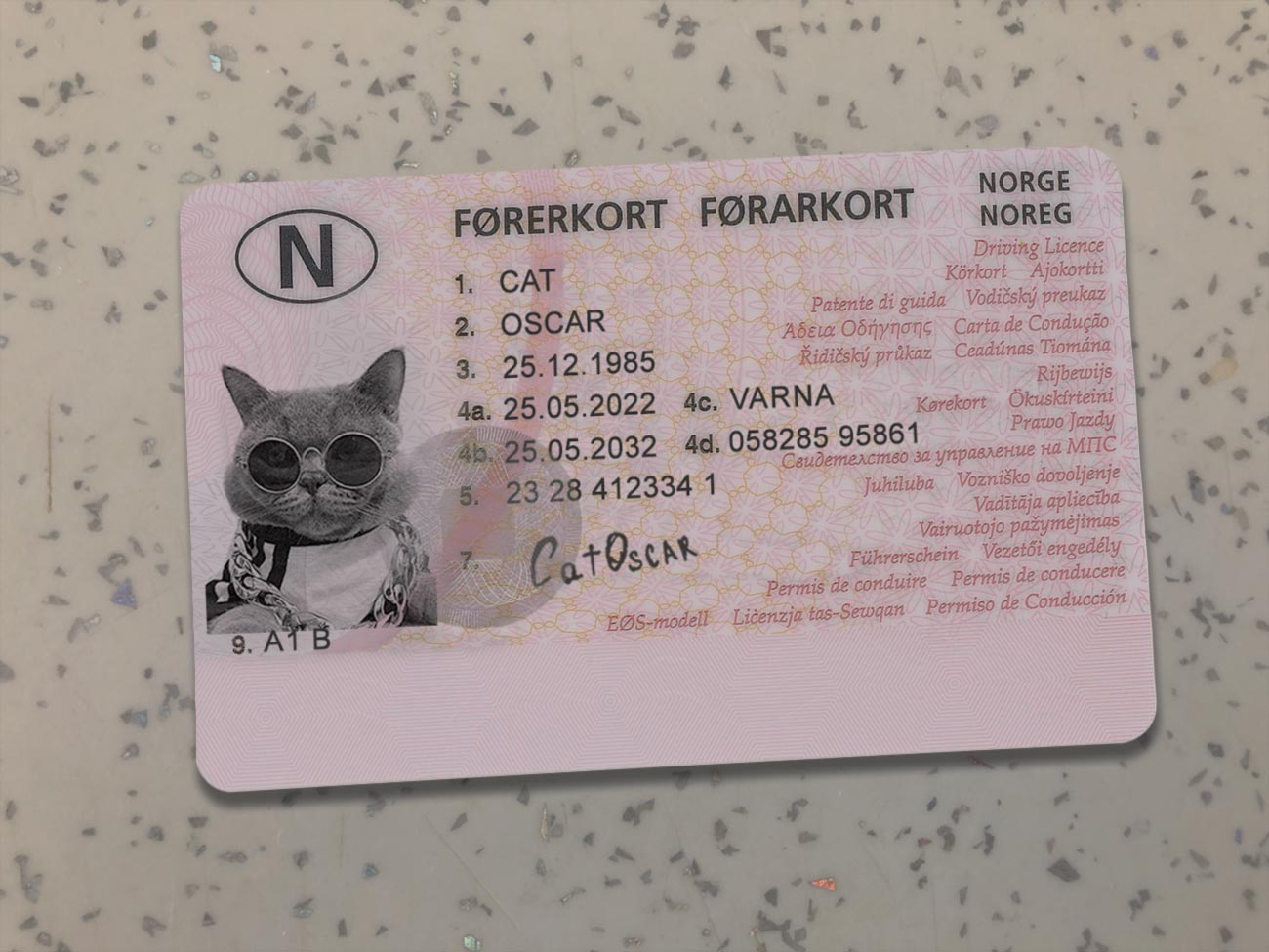 Norway-Driver-License-Template