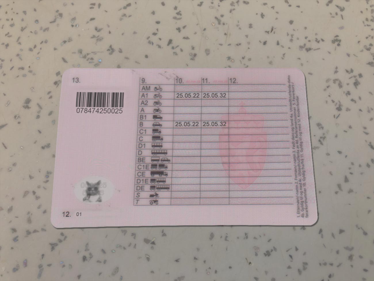 Norway-Driver-License-Template