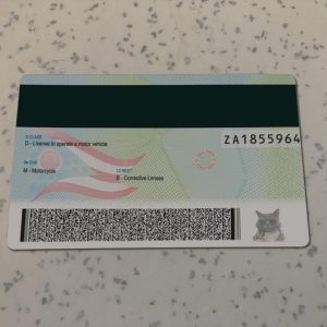 Ohio-Driver-License-Template-