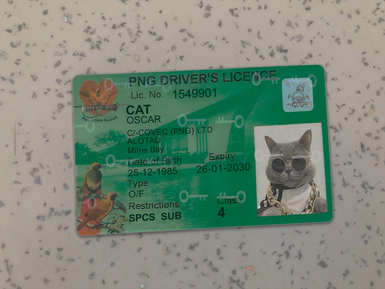 Papua-New-Guinea-Driver-License-Template-