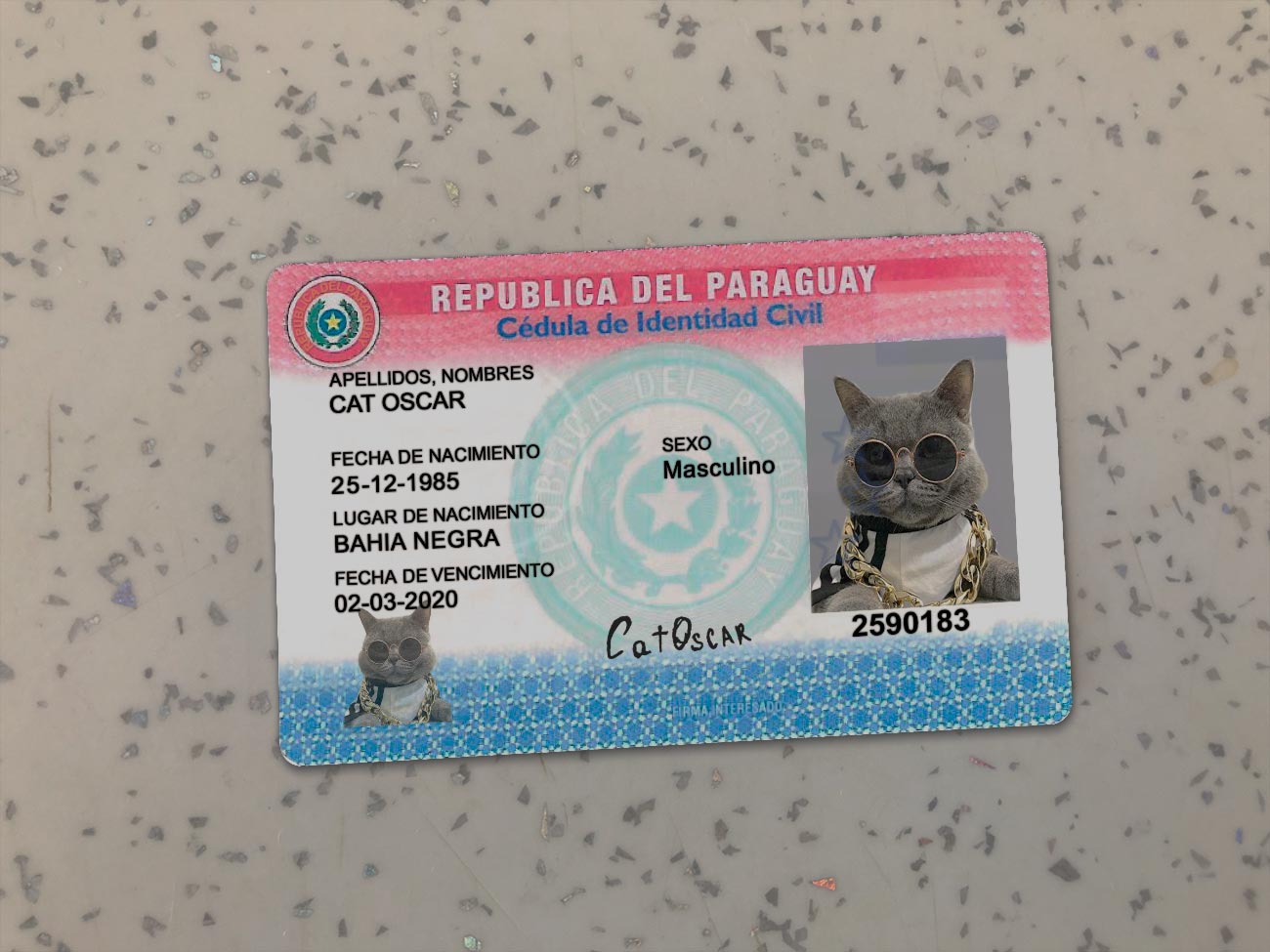 Paraguay-Identity-Card-Template