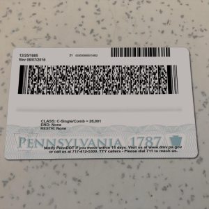 Pennsylvania-Driver-License-Template-