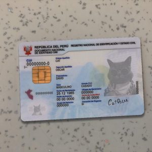 Attachment Details Peru-Identity-Card-Template