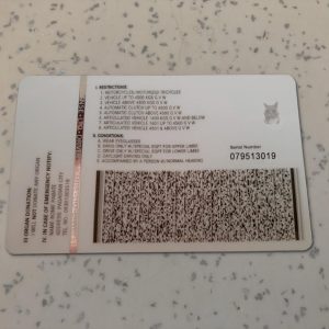 Philippines-Driver-License-Template