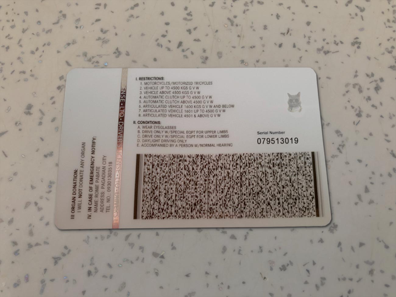 Philippines-Driver-License-Template