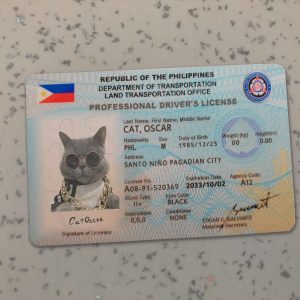 Philippines-driver-license-template