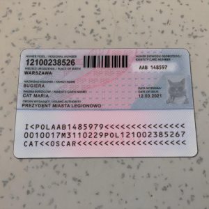Poland Identity Card Template