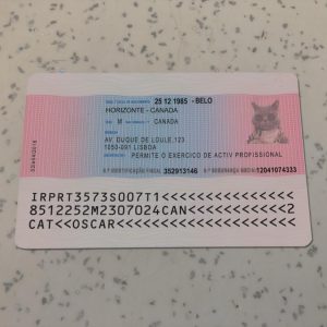 Portugal Residence Card Template