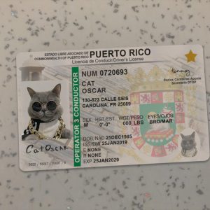 Puerto-Rico-Driver-License-Template