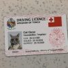 Republic-of-Tonga-Driver-License-Template-