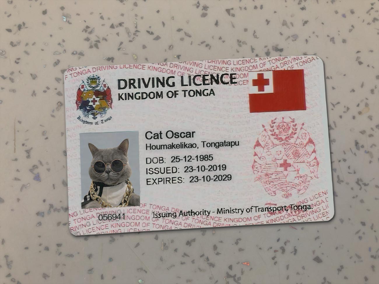 Republic-of-Tonga-Driver-License-Template-
