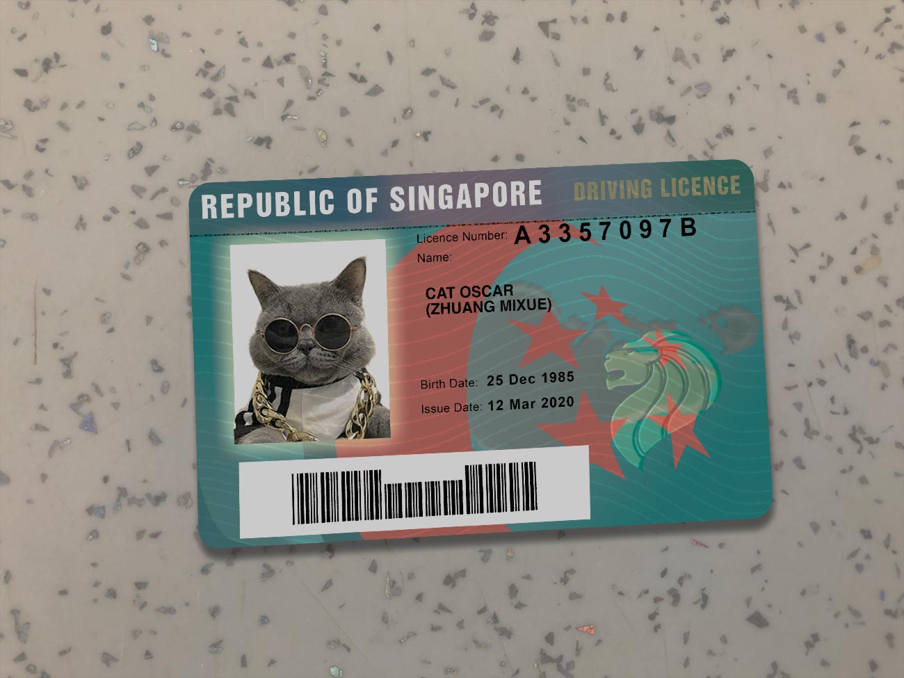 Singapore-Driver-License-Template
