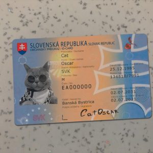 Slovakia-Identity-Card