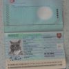 Slovakia-Passport-Template-