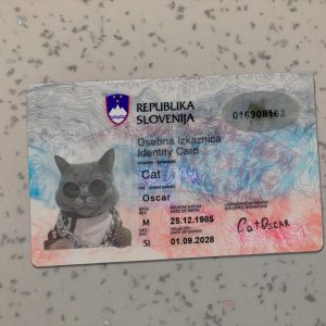 Slovenia Identity Card