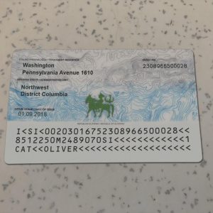 Slovenia Identity Card