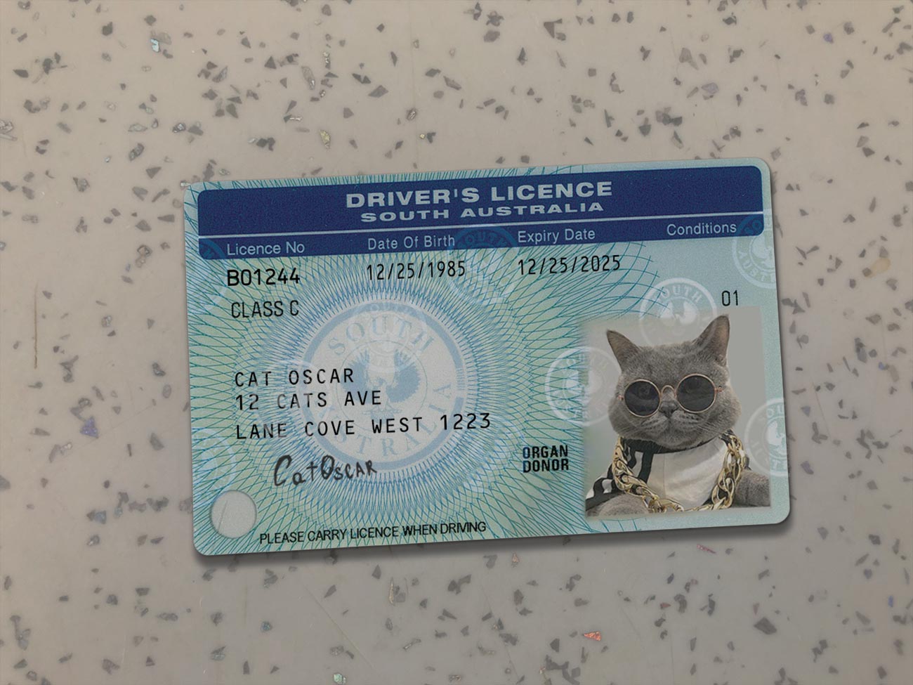 South-Australia-Driver-License-Template