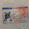 Spain-Identity-Card