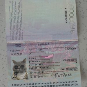 Spain-Passport-Template