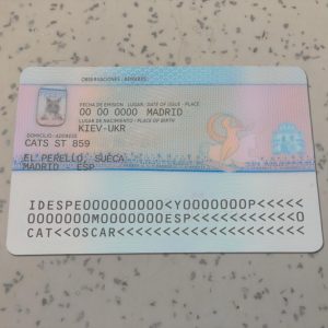 Spain Residence Card PSD Template